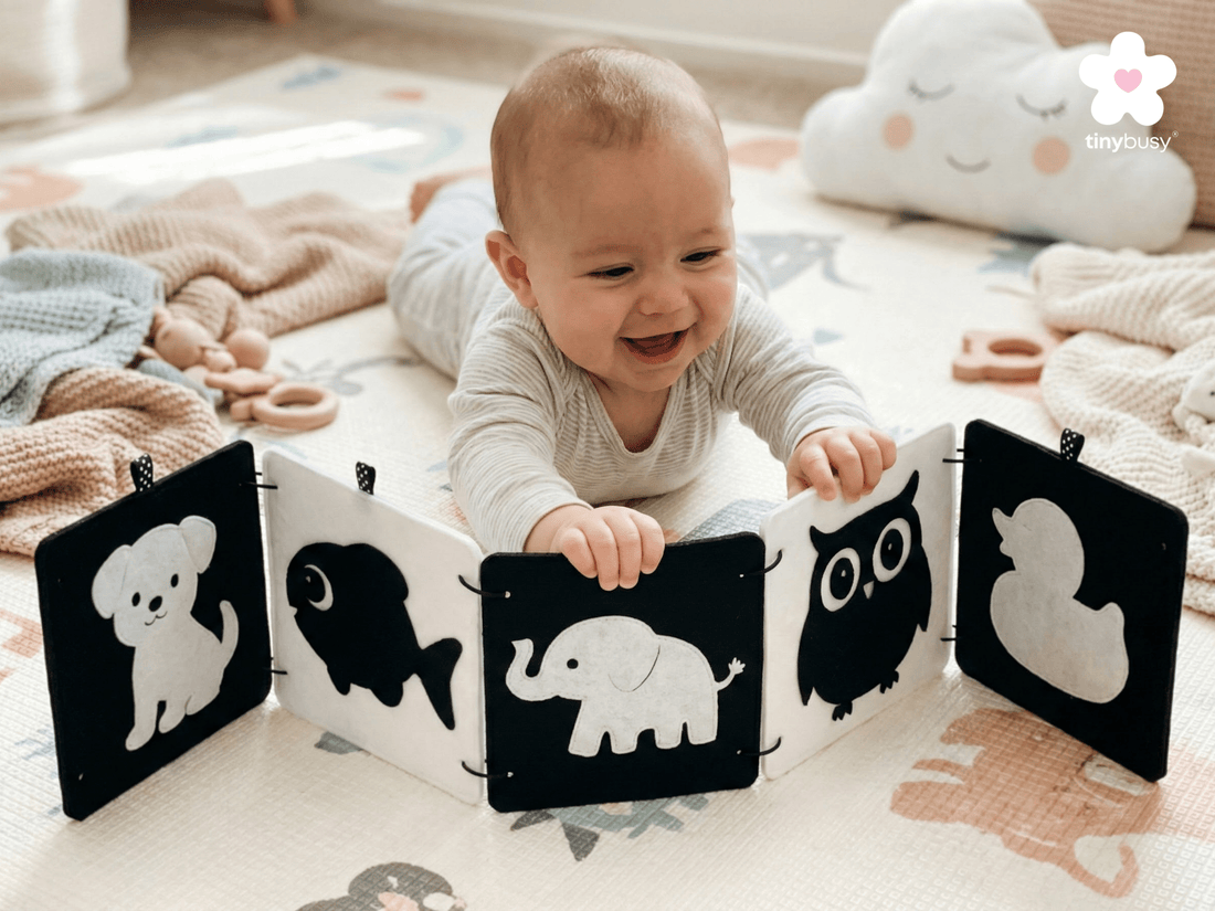 High Contrast Baby Animal Cards DT1 | 5 Double - Sided Cards for Infant Visual Stimulation - TinyBusy