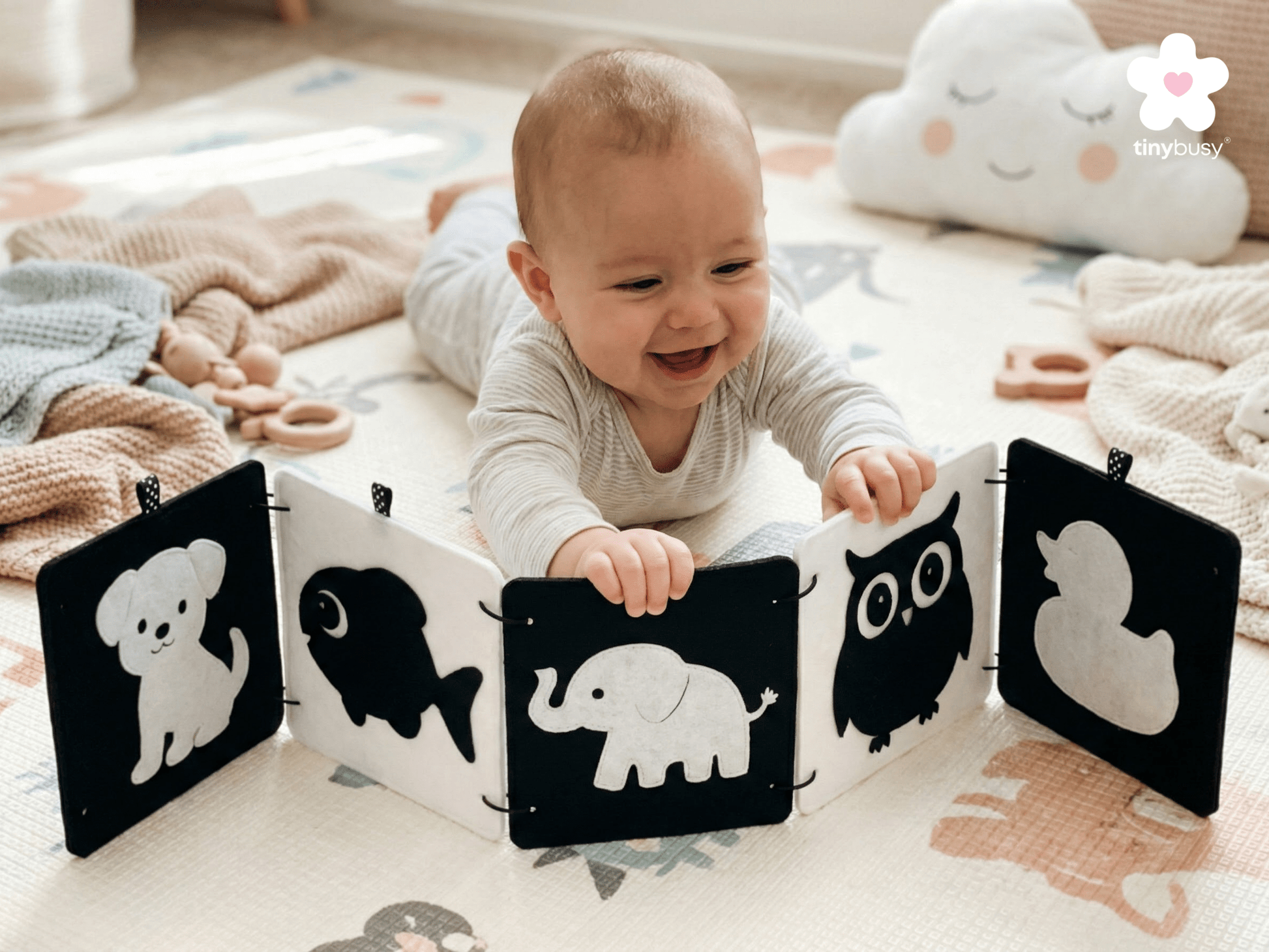 High Contrast Baby Animal Cards DT1 | 5 Double - Sided Cards for Infant Visual Stimulation - TinyBusy
