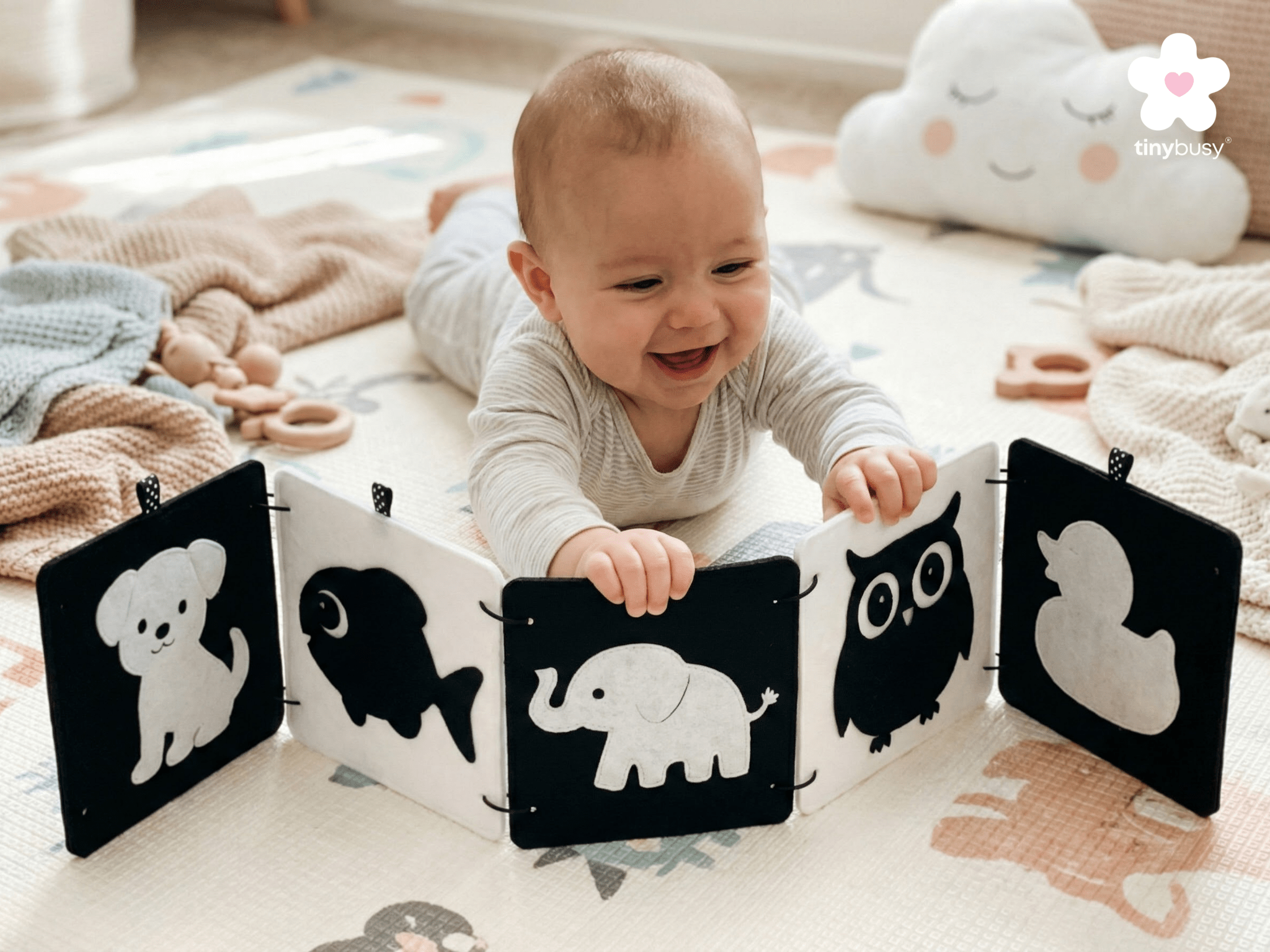 High Contrast Baby Animal Cards DT1 | 5 Double - Sided Cards for Infant Visual Stimulation - TinyBusy