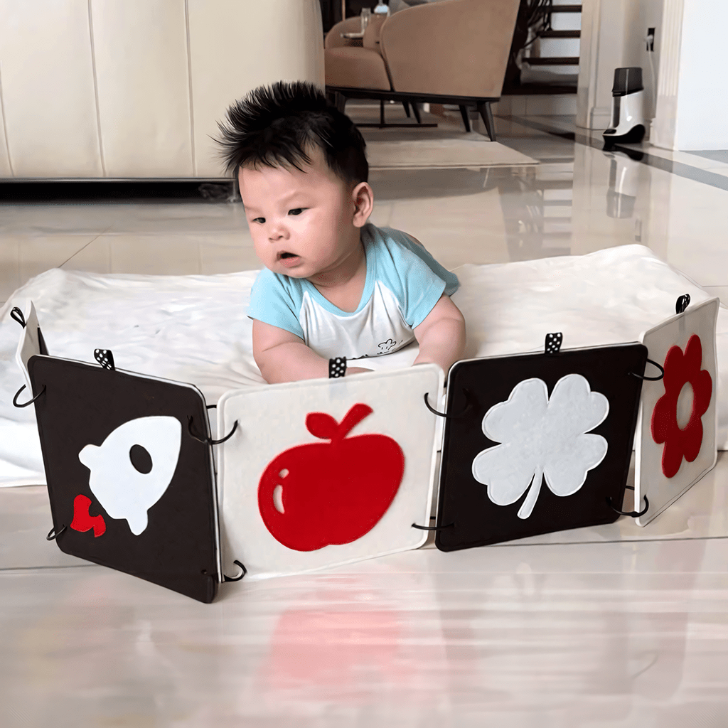 High Contrast Baby Object Cards DT2 | 5 Double - Sided Cards for Infant Visual Stimulation - TinyBusy