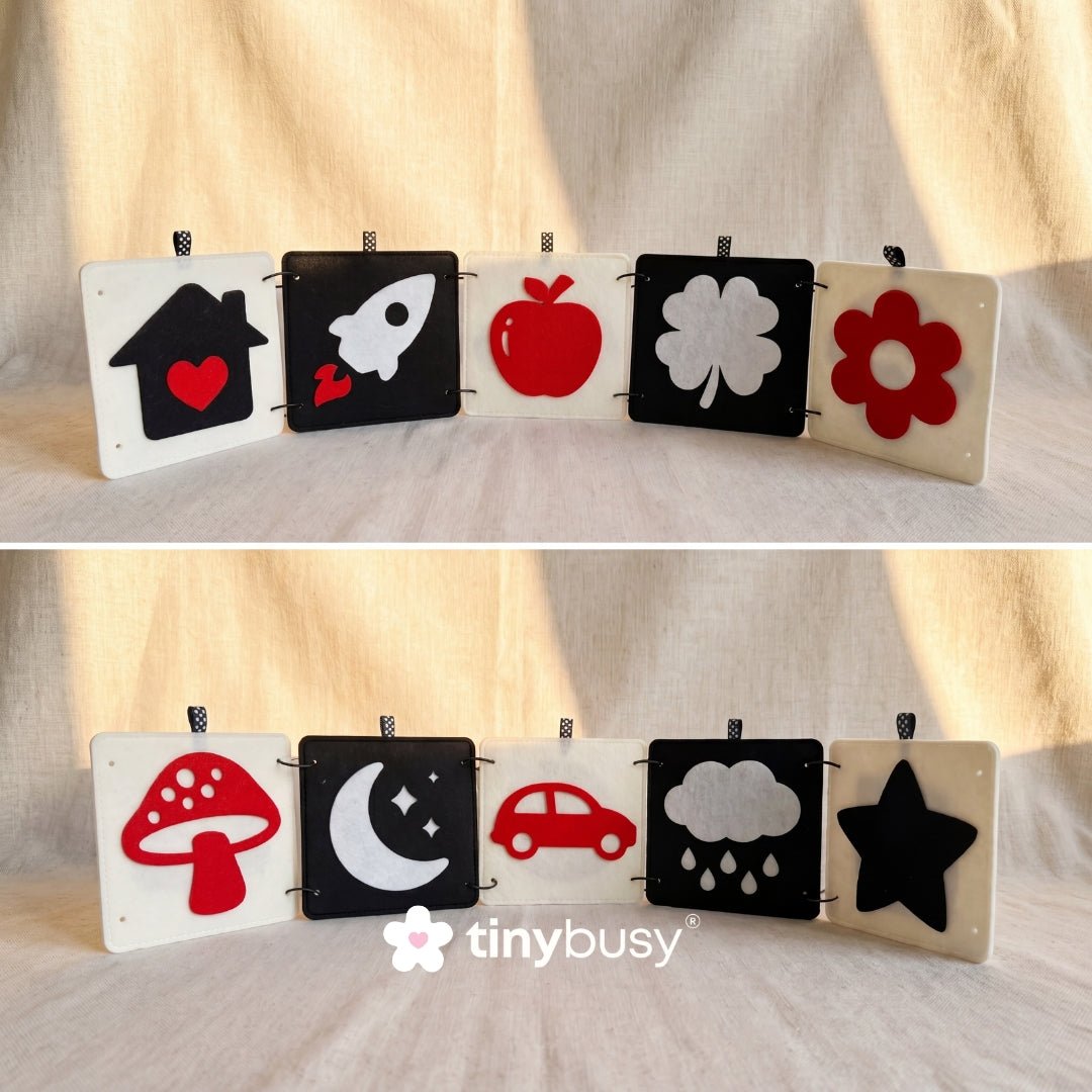 High Contrast Baby Object Cards DT2 | 5 Double-Sided Cards for